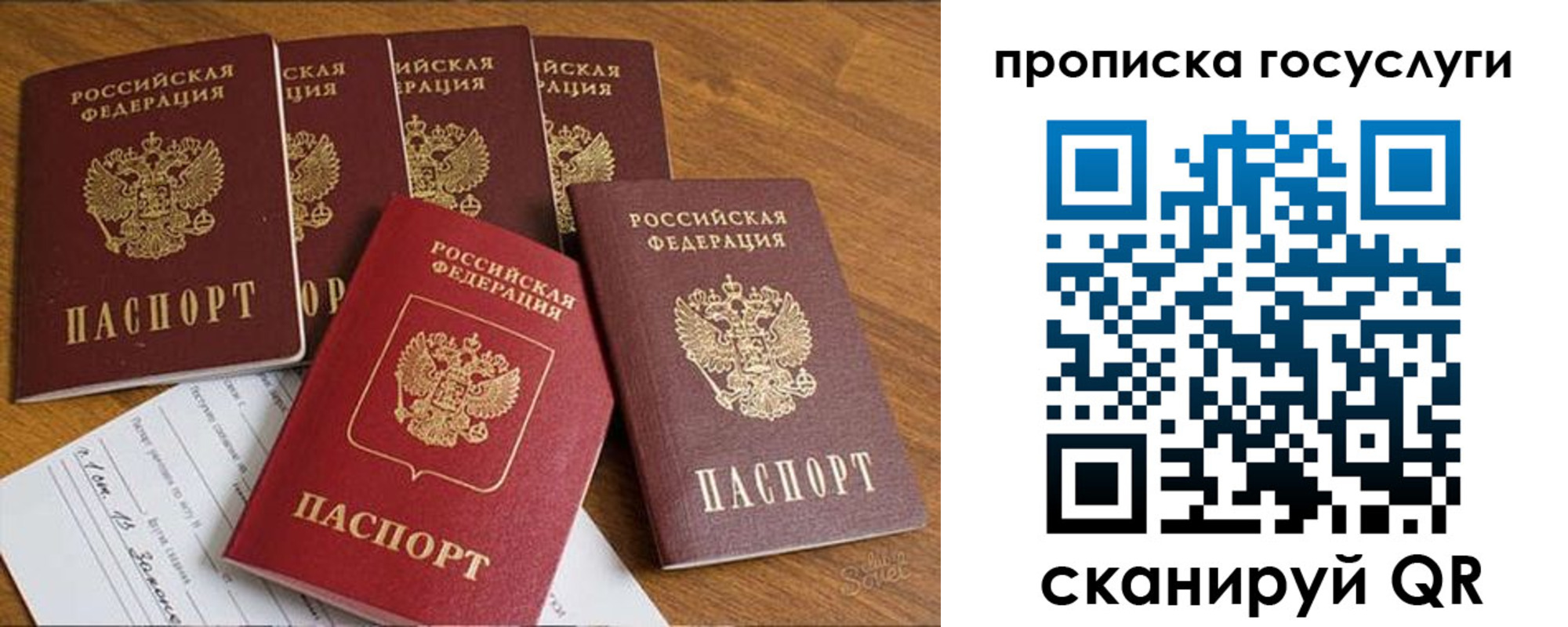 где прописаться в Алексеевке